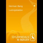 Ludvigsbakke ( e-bog til download. Leveres på e-mail )