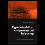 Ægtefælleskiftet i civilprocessuel belysning ( e-bog til download. Leveres på e-mail )