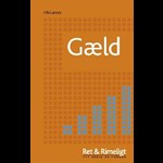 Gæld ( e-bog til download. Leveres på e-mail )