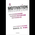 Motivation - Den overraskende sandhed om hvad der motiverer os ( e-bog til download. Leveres på e-mail )