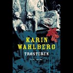 Trøsteren ( e-bog til download. Leveres på e-mail )